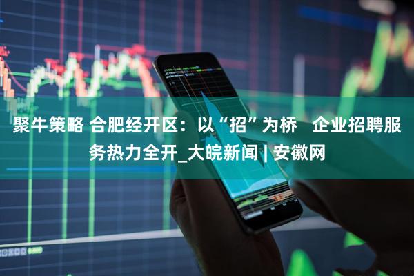 聚牛策略 合肥经开区：以“招”为桥   企业招聘服务热力全开_大皖新闻 | 安徽网